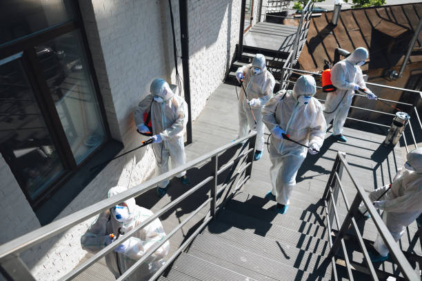 Best Mold Remediation for Healthcare Facilities  in Cadiz, KY