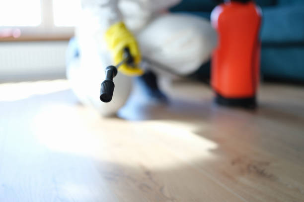 Best Mold Odor Removal Services  in Cadiz, KY