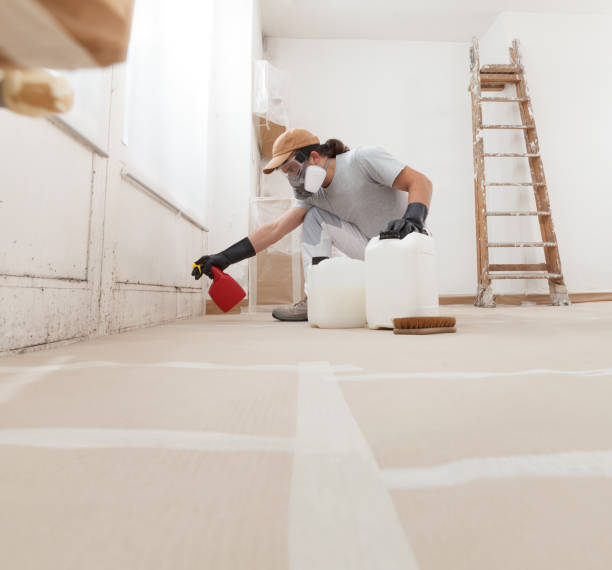 Best Indoor Air Quality Assessment  in Cadiz, KY