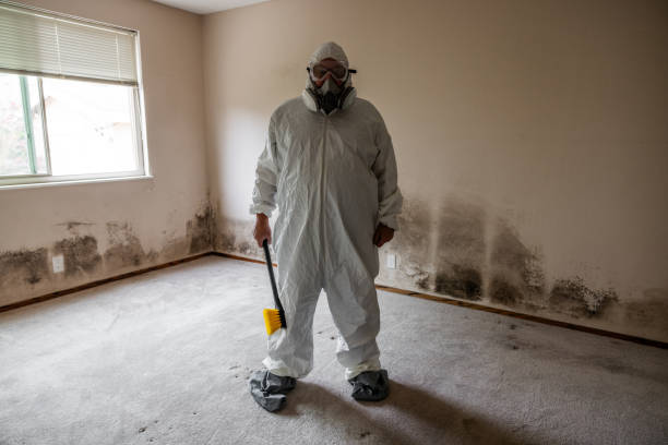 Asbestos and Lead Testing During Mold Inspection in Cadiz, KY